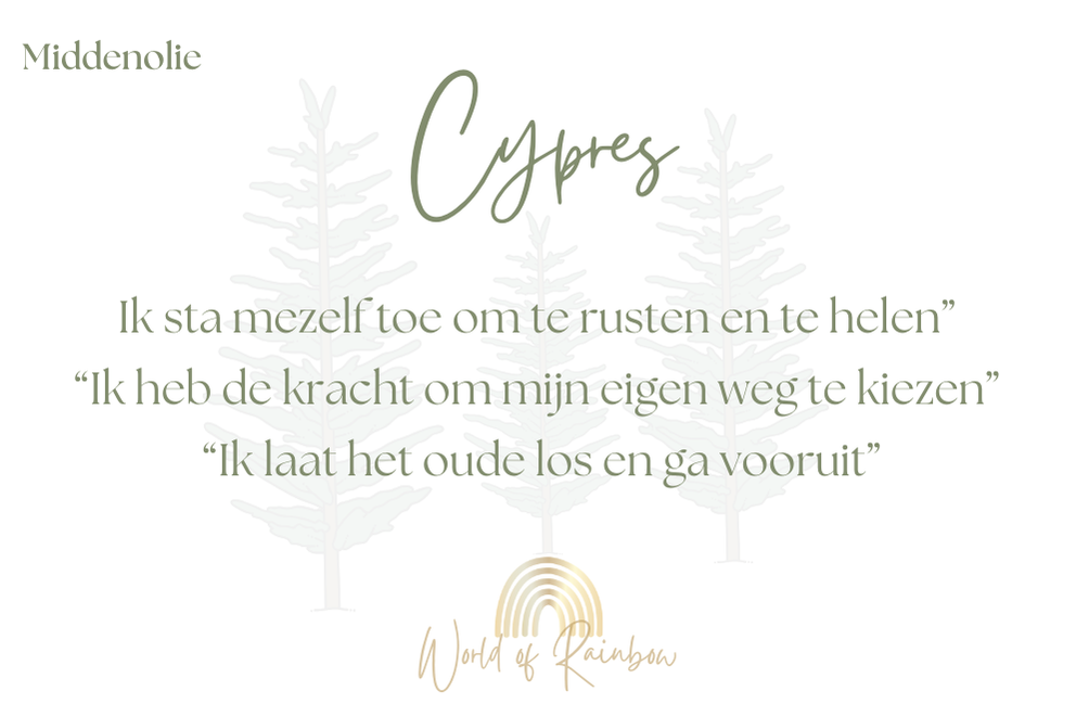 Aroma coachkaarten - basis oliën