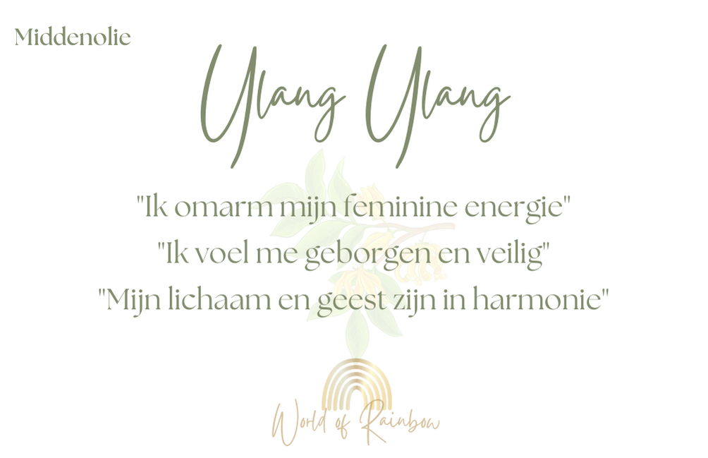 Aroma coachkaarten - basis oliën