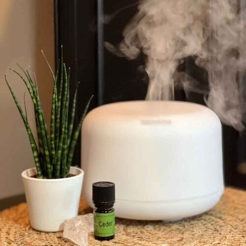 Pure Energy diffuser